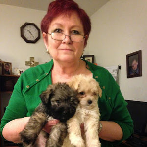 Meet your Posher, Debbie